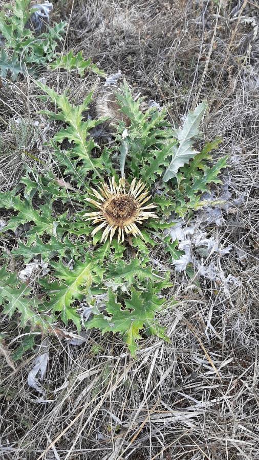 Un Balcon Entre Causses Et Rougiers